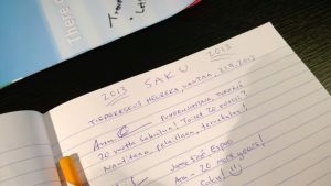 saku_2013_janne_11.jpg (312 kt)