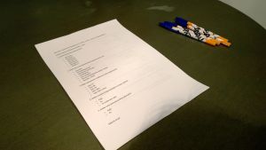 saku_2013_janne_24.jpg (346 kt)