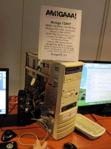 saku_2013_anu_25.jpg (344 kt)
