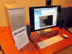 saku_2013_anu_29.jpg (437 kt)