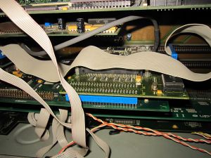 saku_2013_anu_36.jpg (460 kt)