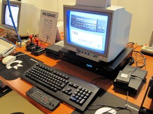 saku_2013_anu_43.jpg (390 kt)