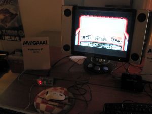 saku_2013_anu_53.jpg (280 kt)