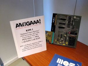 saku_2013_anu_56.jpg (403 kt)