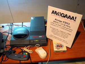 saku_2013_anu_68.jpg (398 kt)