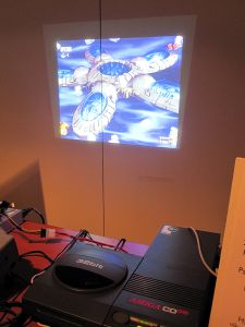 saku_2013_anu_71.jpg (330 kt)
