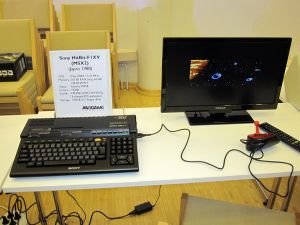 saku_2014_valokuvaraportti_47.jpg (655 kt)