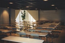 saku98_68.jpg (40 kt)