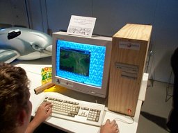 saku99_24.jpg (65 kt)