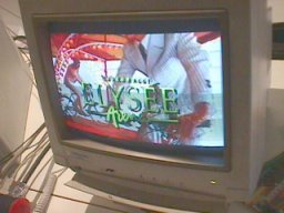 saku99_155.jpg (19 kt)