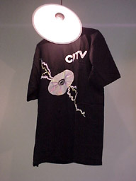 vuosi2001_17.jpg (47 kt)
