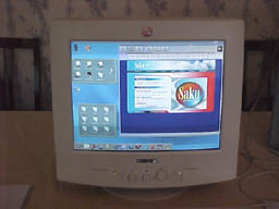 vuosi2003_15.jpg (75 kt)