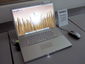 vuosi2013_13_anu.jpg (483 kt)